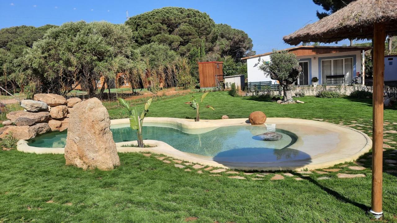 El Oasis De Anayansi Cabanas Con Encanto Vejer de la Frontera Eksteriør billede